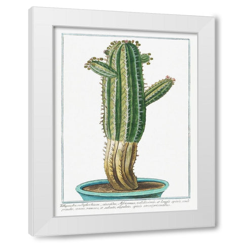 Tithymalus White Modern Wood Framed Art Print by Bonelli, Giorgio