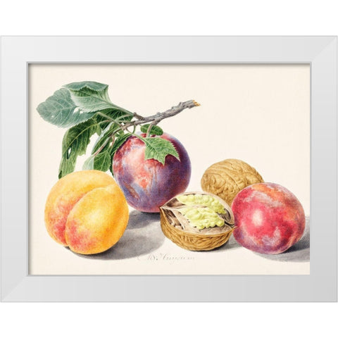 Fruits I White Modern Wood Framed Art Print by van Huysum, Michiel