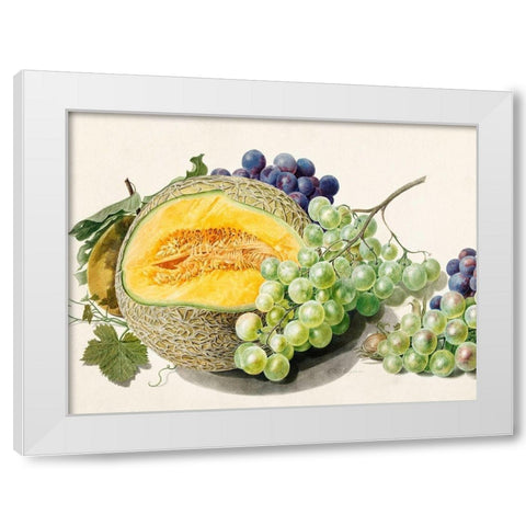 Fruits II White Modern Wood Framed Art Print by van Huysum, Michiel