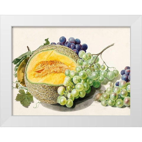 Fruits II White Modern Wood Framed Art Print by van Huysum, Michiel