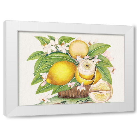 Basket of lemons White Modern Wood Framed Art Print by Anonymous