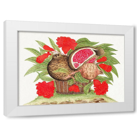Basket of pomegranates White Modern Wood Framed Art Print by Anonymous