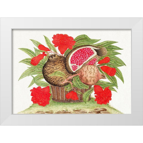 Basket of pomegranates White Modern Wood Framed Art Print by Anonymous