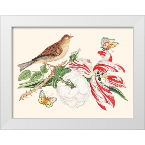 A Bird on a branch with Rose-Tulip and Butterflies White Modern Wood Framed Art Print by Anonymous