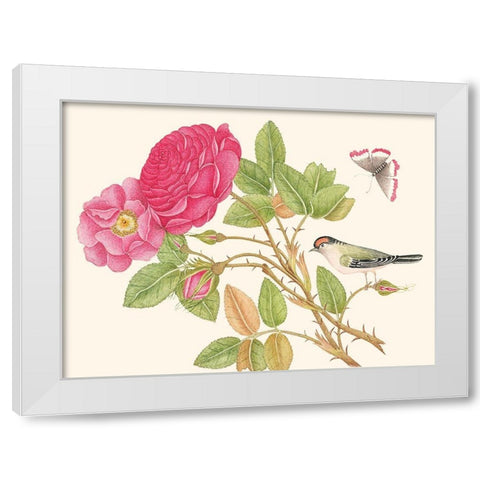 A bird on rose branch White Modern Wood Framed Art Print by Anonymous