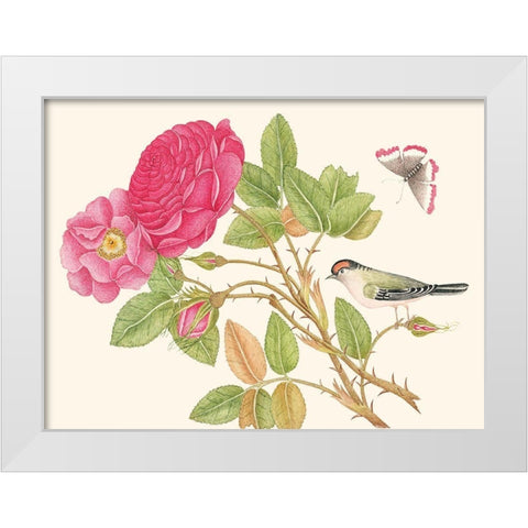 A bird on rose branch White Modern Wood Framed Art Print by Anonymous