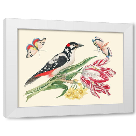 A Bird on Tulip stem with Daffodils White Modern Wood Framed Art Print by Anonymous