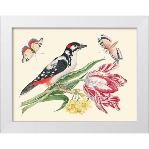 A Bird on Tulip stem with Daffodils White Modern Wood Framed Art Print by Anonymous