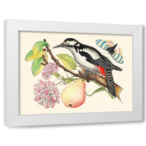 A bird perched on a branch I White Modern Wood Framed Art Print by Anonymous