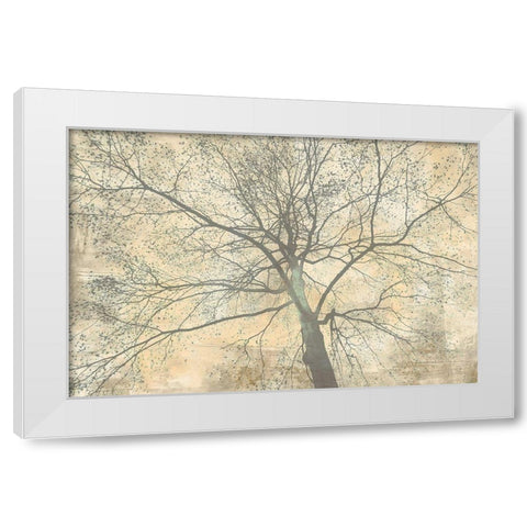 Below My Tree II White Modern Wood Framed Art Print by Aprile, Alessio