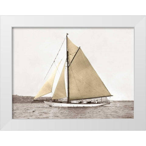 Yacht on Sydney Harbour White Modern Wood Framed Art Print by Anonymous