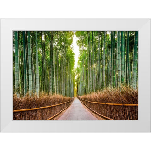 Bamboo Forest- Kyoto- Japan White Modern Wood Framed Art Print by Pangea Images