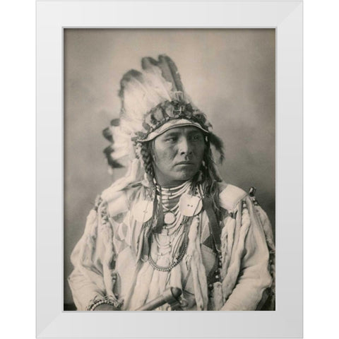 Spotted Jack Rabbit- Crow- 1898 White Modern Wood Framed Art Print by Anonymous