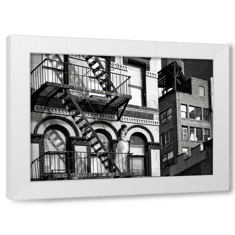 TriBeCa Beauty, NYC White Modern Wood Framed Art Print by Lauren, Julian