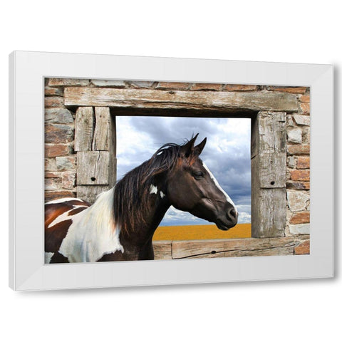 Painted Horse White Modern Wood Framed Art Print by Lauren, Julian