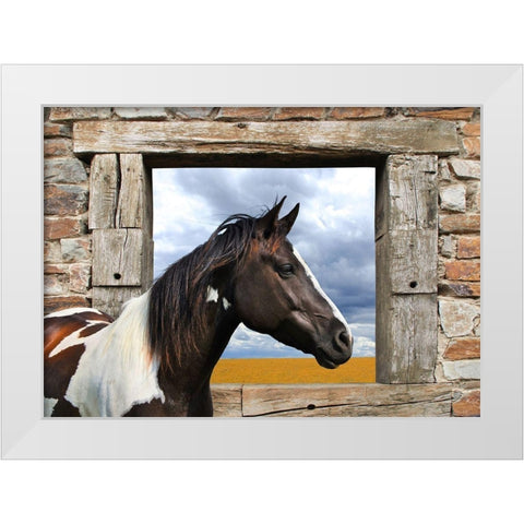 Painted Horse White Modern Wood Framed Art Print by Lauren, Julian