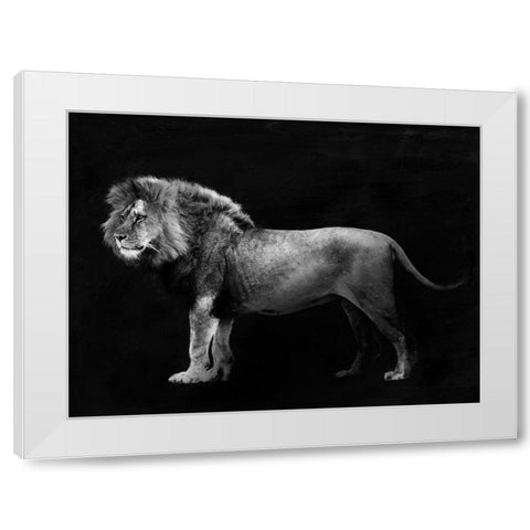 Panthera Leo White Modern Wood Framed Art Print by Julian, Lauren