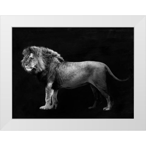 Panthera Leo White Modern Wood Framed Art Print by Julian, Lauren