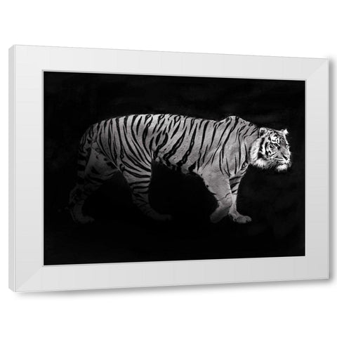 Panthera Tigris White Modern Wood Framed Art Print by Julian, Lauren