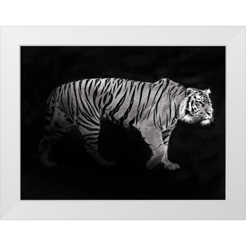 Panthera Tigris White Modern Wood Framed Art Print by Julian, Lauren