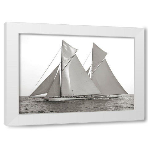 Columbia and Shamrock- 1901 White Modern Wood Framed Art Print by Anonymous