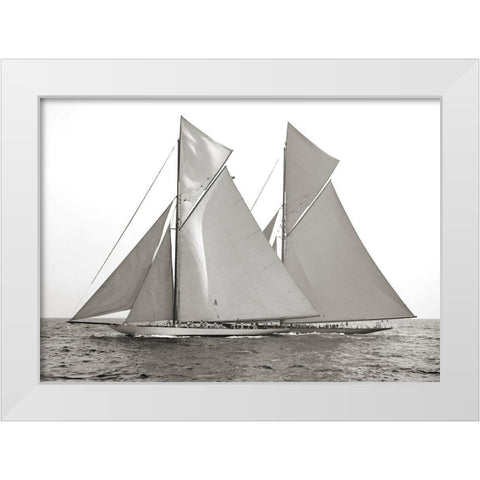 Columbia and Shamrock- 1901 White Modern Wood Framed Art Print by Anonymous