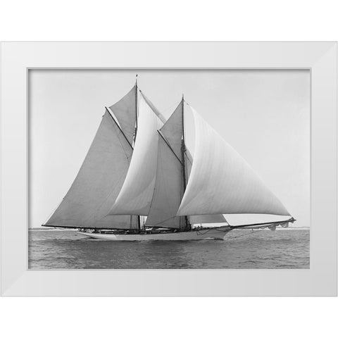 Merlin White Modern Wood Framed Art Print by Anonymous