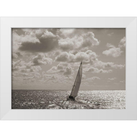 Sailing White Modern Wood Framed Art Print by Pangea Images