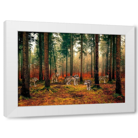 Pack of Wolves in the Woods White Modern Wood Framed Art Print by Pangea Images