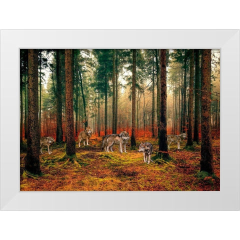 Pack of Wolves in the Woods White Modern Wood Framed Art Print by Pangea Images
