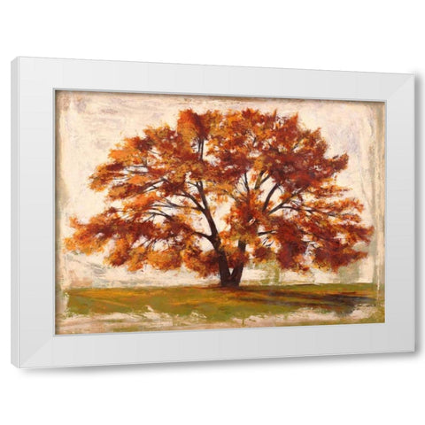 Mattino White Modern Wood Framed Art Print by Bacci, Leonardo