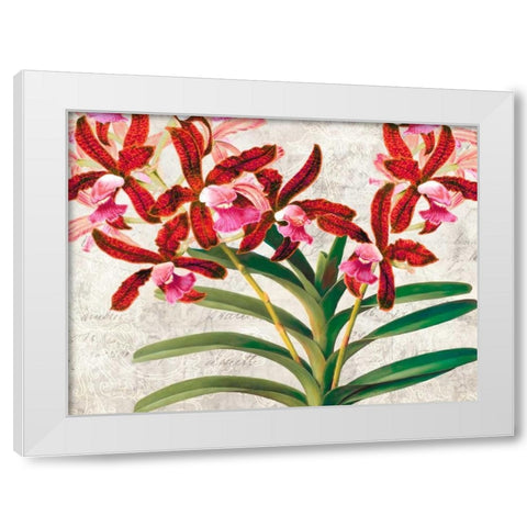 Botanique Moderne I White Modern Wood Framed Art Print by Dellal, Remy