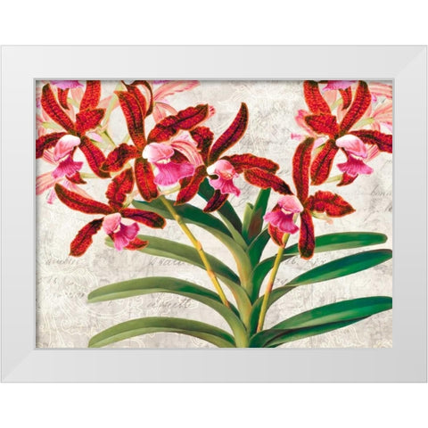 Botanique Moderne I White Modern Wood Framed Art Print by Dellal, Remy