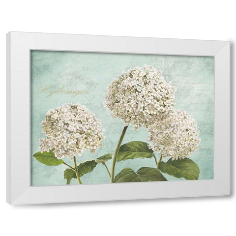 Hydrangeas I (Aqua) White Modern Wood Framed Art Print by Remy, Dellal