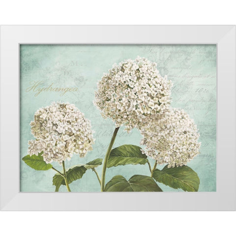 Hydrangeas I (Aqua) White Modern Wood Framed Art Print by Remy, Dellal