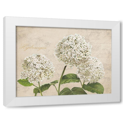 Hydrangeas I (Neutre) White Modern Wood Framed Art Print by Remy, Dellal