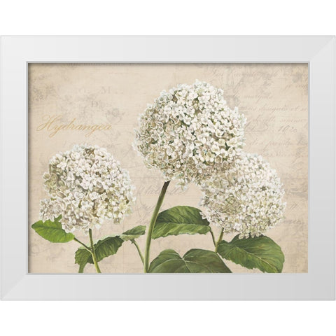 Hydrangeas I (Neutre) White Modern Wood Framed Art Print by Remy, Dellal