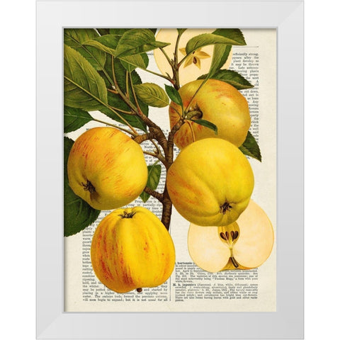 Fruits de saison, Pommes White Modern Wood Framed Art Print by Dellal, Remy