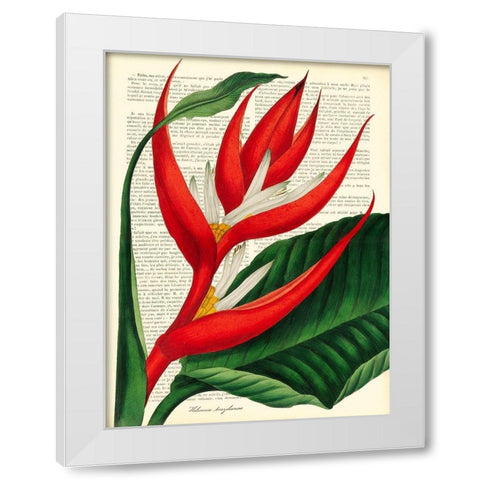 Vintage Botany I White Modern Wood Framed Art Print by Dellal, Remy