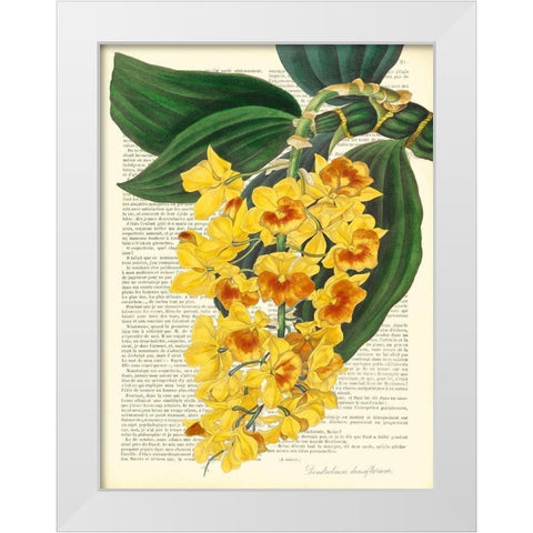 Vintage Botany III White Modern Wood Framed Art Print by Dellal, Remy