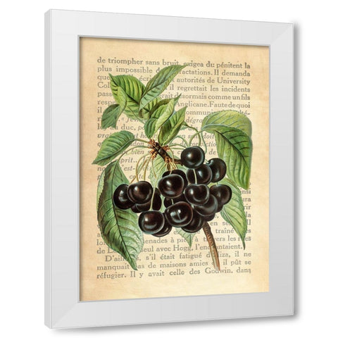 Cherries- After J. Wright White Modern Wood Framed Art Print by Dellal, Remy