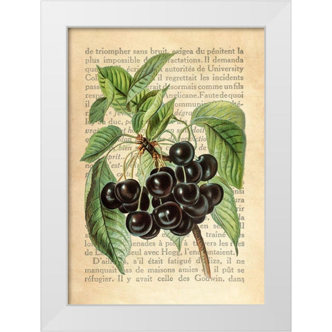 Cherries- After J. Wright White Modern Wood Framed Art Print by Dellal, Remy
