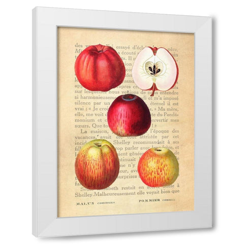 Apple- After Redoute White Modern Wood Framed Art Print by Dellal, Remy