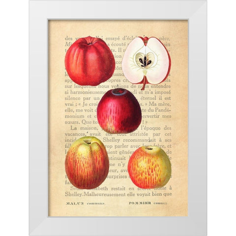 Apple- After Redoute White Modern Wood Framed Art Print by Dellal, Remy
