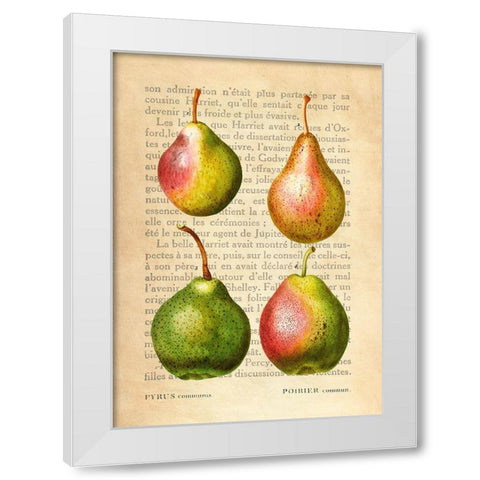 Pears- After Redoute White Modern Wood Framed Art Print by Dellal, Remy