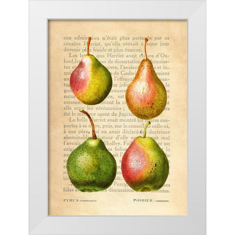 Pears- After Redoute White Modern Wood Framed Art Print by Dellal, Remy