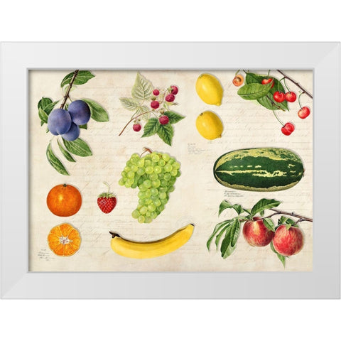 Fruits du Monde White Modern Wood Framed Art Print by Dellal, Remy