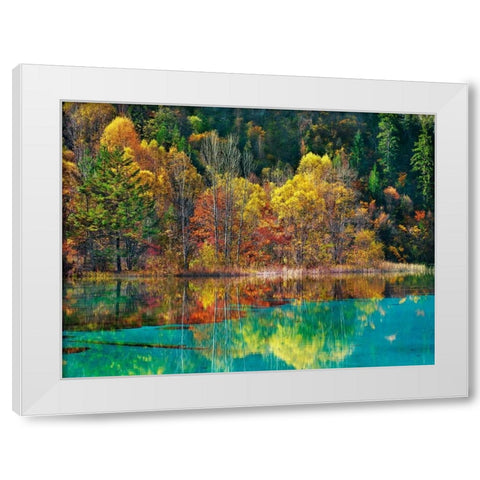 Forest in autumn colours, Sichuan, China White Modern Wood Framed Art Print by Krahmer, Frank