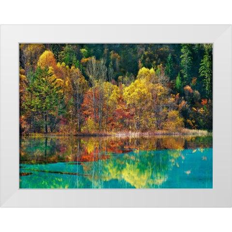 Forest in autumn colours, Sichuan, China White Modern Wood Framed Art Print by Krahmer, Frank
