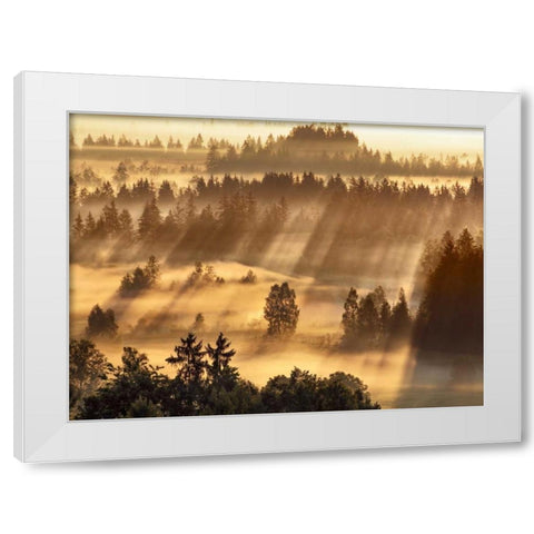 Fog impression at Sindelbachfilz, Bavaria, Germany White Modern Wood Framed Art Print by Krahmer, Frank